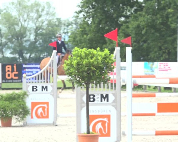 Reitturnier Hitzkirch 2019