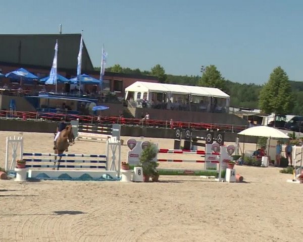 Reitturnier Küps/Ofr. 2019