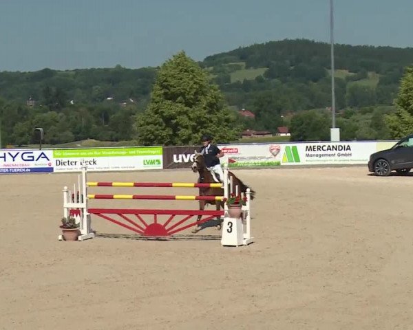 Reitturnier Küps/Ofr. 2019