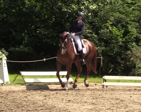 Reitturnier Hanerau-Hademarschen 2019