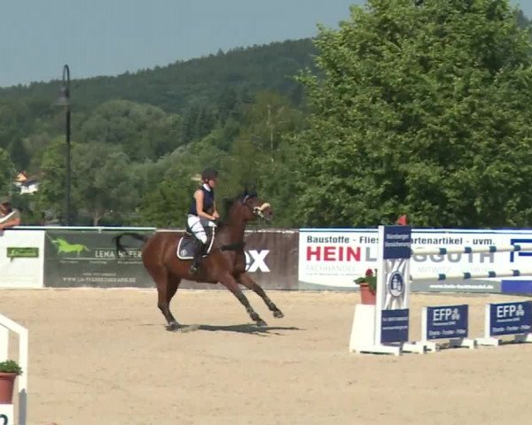 Reitturnier Küps/Ofr. 2019