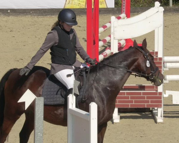 Reitturnier Leingarten 2021