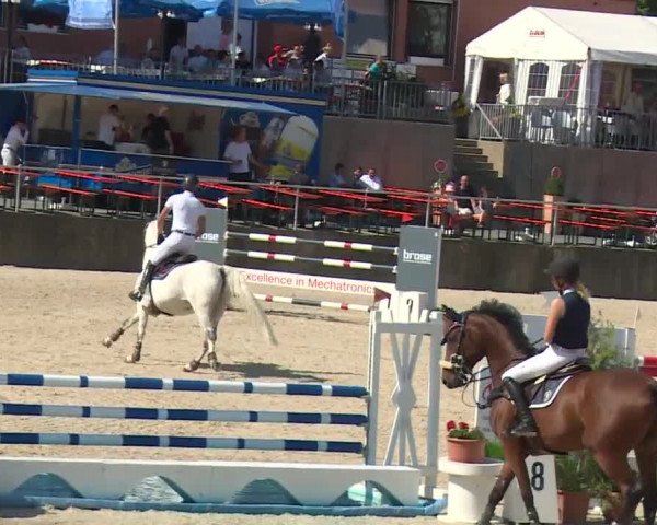 Reitturnier Küps/Ofr. 2019