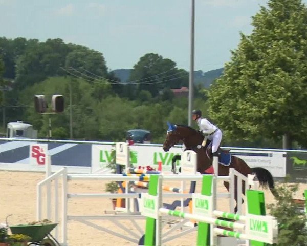 Reitturnier Küps/Ofr. 2019