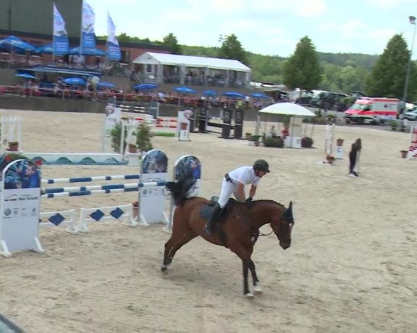 Reitturnier Küps/Ofr. 2019