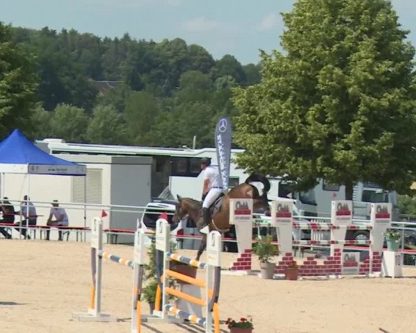 Reitturnier Küps/Ofr. 2019