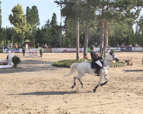 Reitturnier Viernheim 2019