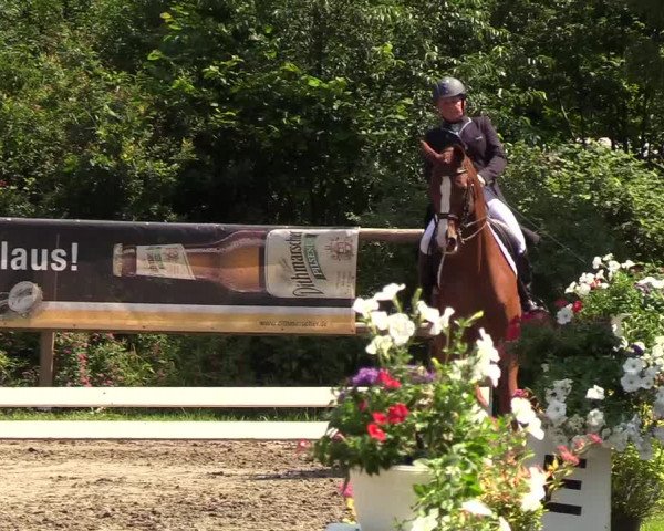Reitturnier Hanerau-Hademarschen 2019