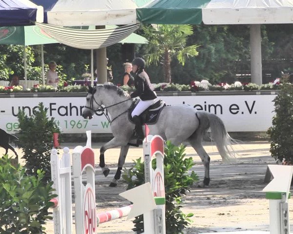 Reitturnier Viernheim 2019
