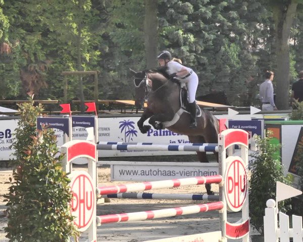 Reitturnier Viernheim 2019