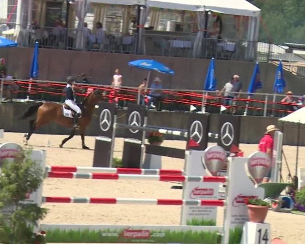 Reitturnier Küps/Ofr. 2019