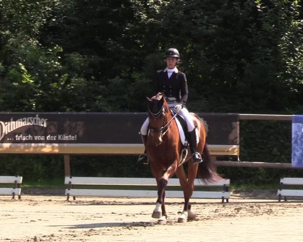 Reitturnier Hanerau-Hademarschen 2019