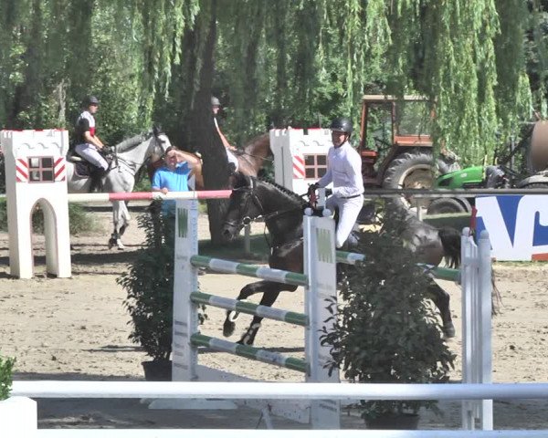 Reitturnier Viernheim 2019