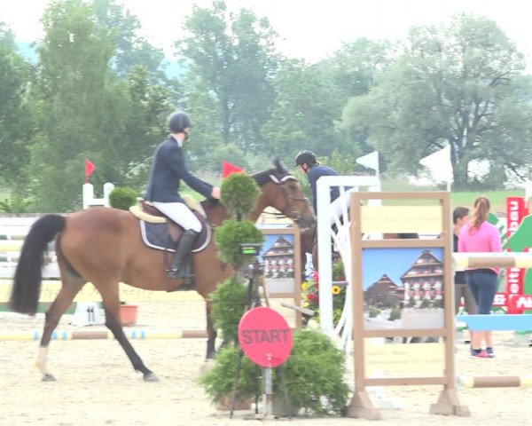 Reitturnier Hitzkirch 2019