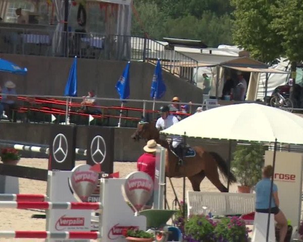 Reitturnier Küps/Ofr. 2019