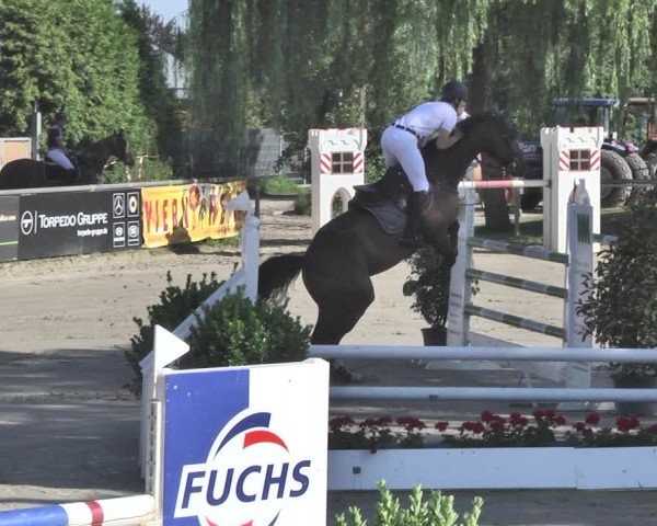 Reitturnier Viernheim 2019