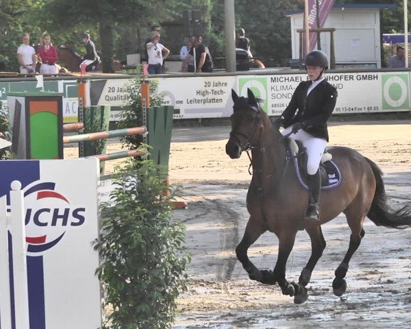 Reitturnier Viernheim 2019