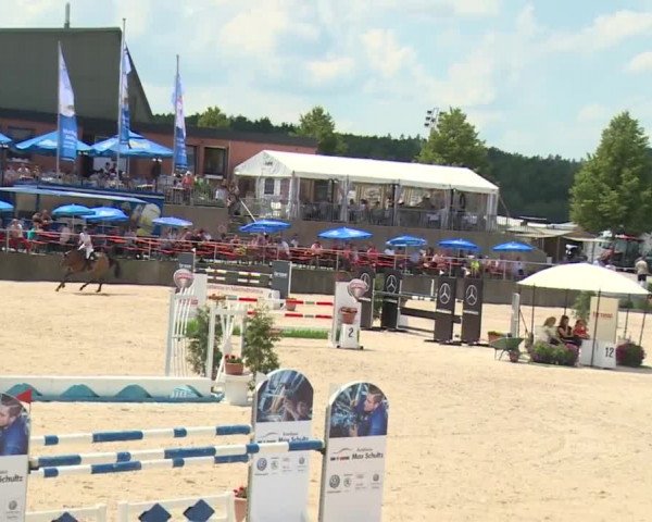 Reitturnier Küps/Ofr. 2019