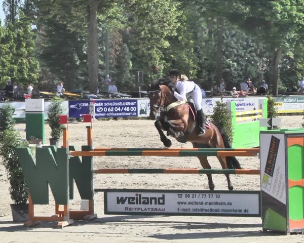 Reitturnier Viernheim 2019
