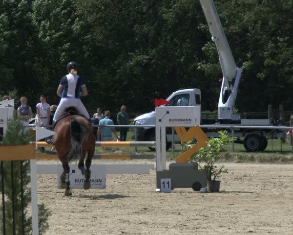 Reitturnier Coesfeld 2019