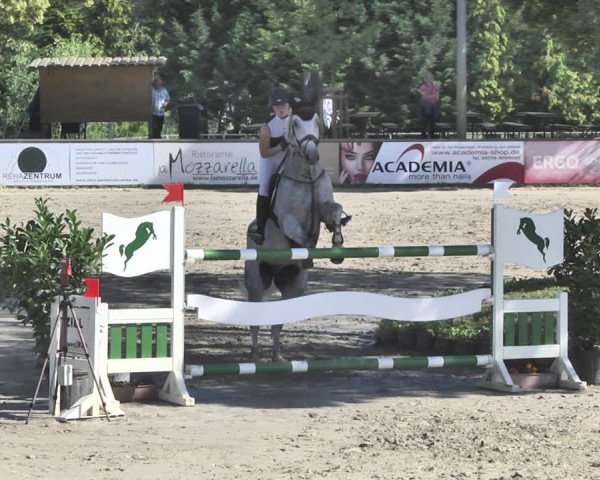 Reitturnier Viernheim 2019