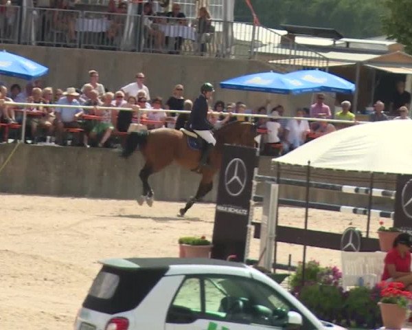 Reitturnier Küps/Ofr. 2019