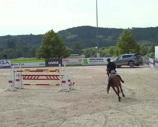 Reitturnier Küps/Ofr. 2019