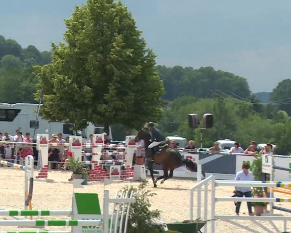 Reitturnier Küps/Ofr. 2019