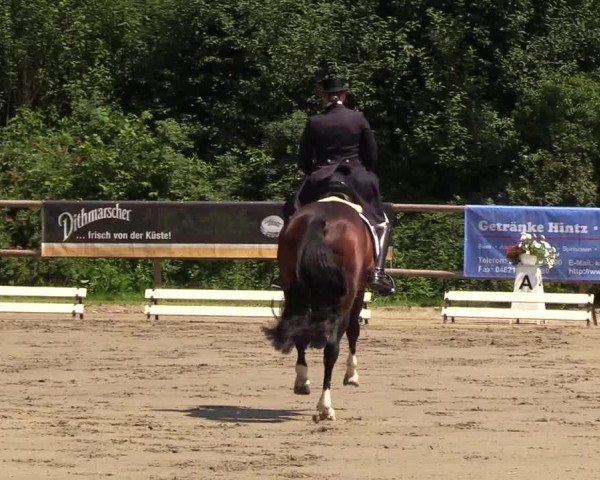 Reitturnier Hanerau-Hademarschen 2019