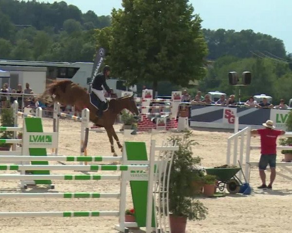 Reitturnier Küps/Ofr. 2019