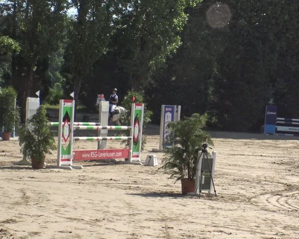 Reitturnier Leverkusen - Teitscheider Hof 2019