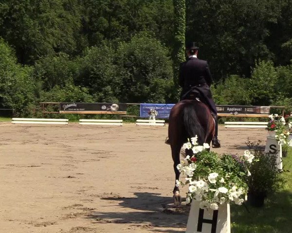 Reitturnier Hanerau-Hademarschen 2019