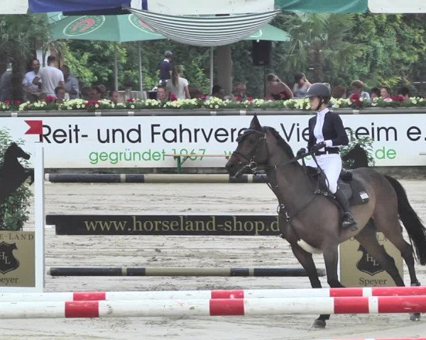 Reitturnier Viernheim 2019