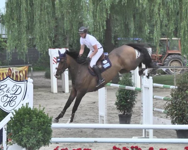 Reitturnier Viernheim 2019