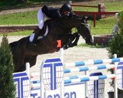 broodmare Billy Buttercup (Irish Sport Horse, 2002, from Vechta 6)