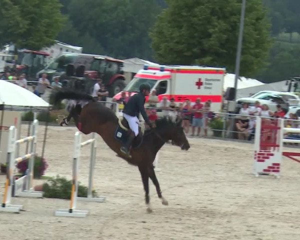 Reitturnier Küps/Ofr. 2019