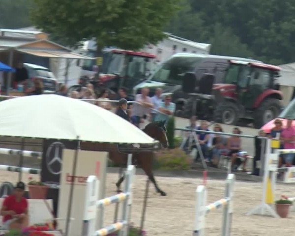 Reitturnier Küps/Ofr. 2019