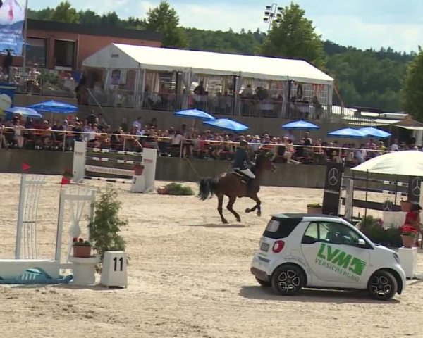 Reitturnier Küps/Ofr. 2019