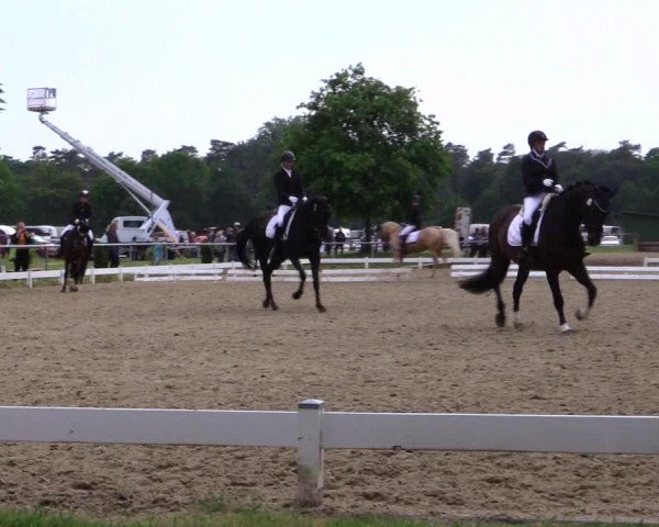 Reitturnier Coesfeld 2019