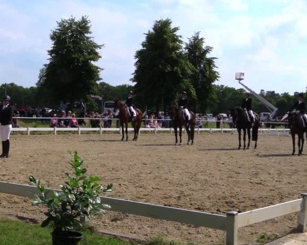 Reitturnier Coesfeld 2019