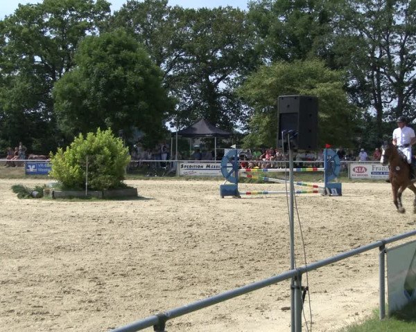 Reitturnier Coesfeld 2019