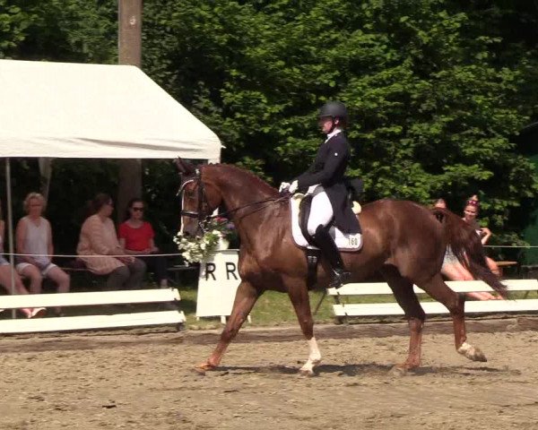 Reitturnier Hanerau-Hademarschen 2019