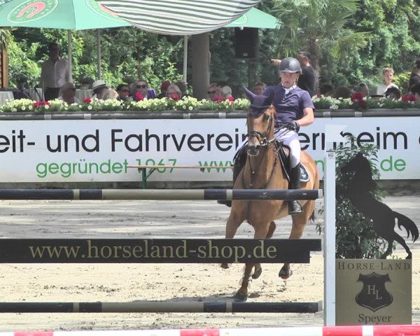 Reitturnier Viernheim 2019