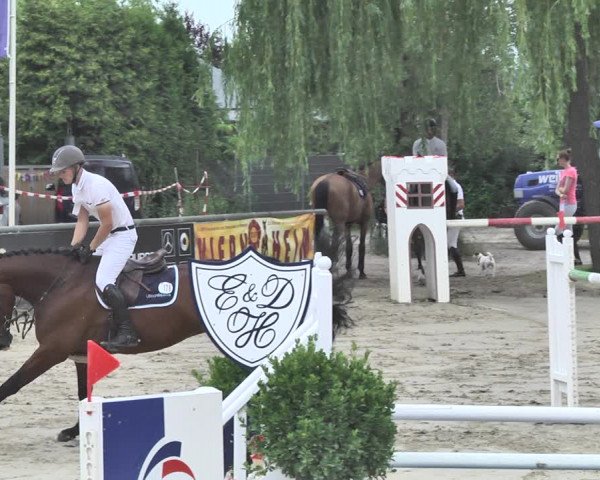 Reitturnier Viernheim 2019