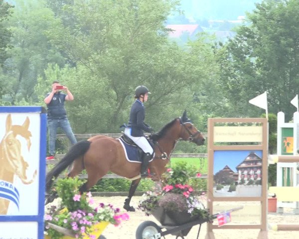 Reitturnier Hitzkirch 2019