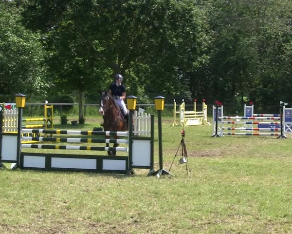 Reitturnier Stadum 2019