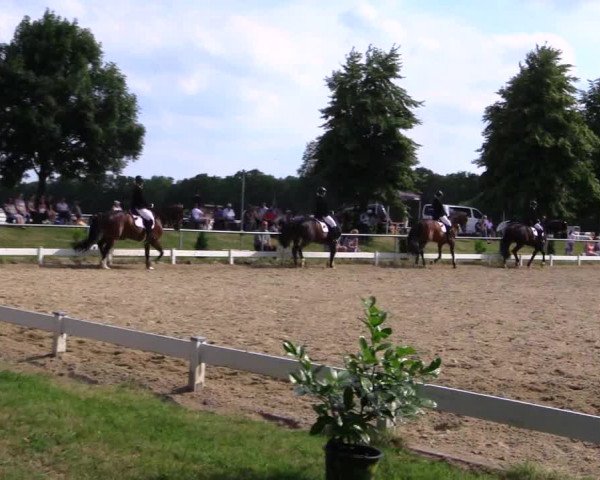 Reitturnier Coesfeld 2019