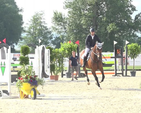 Reitturnier Hitzkirch 2019