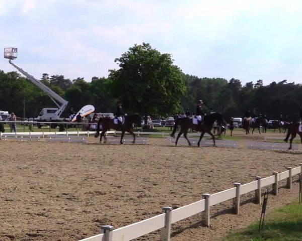 Reitturnier Coesfeld 2019