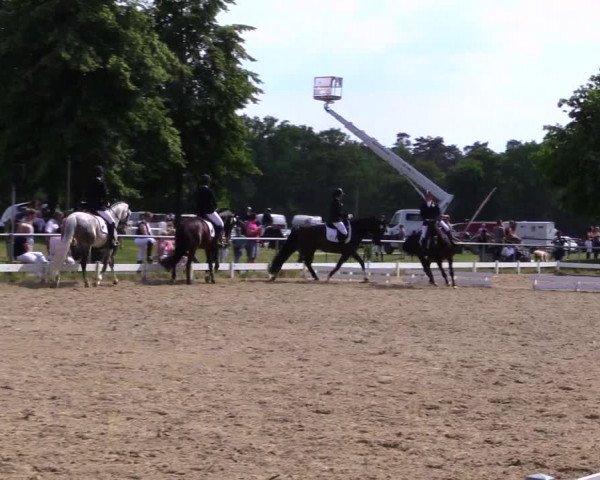 Reitturnier Coesfeld 2019
